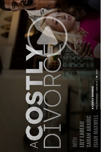 A Costly Divorce Poster of A Costly Divorce