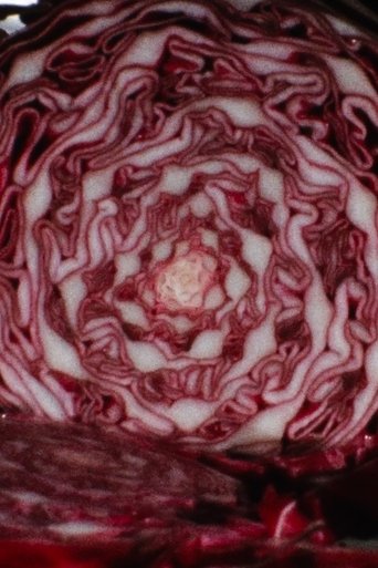 Cabbage Poster of Cabbage