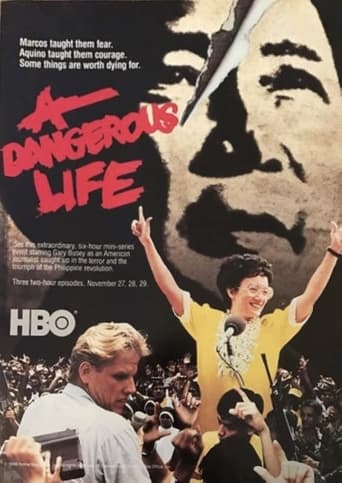 Poster of A Dangerous Life