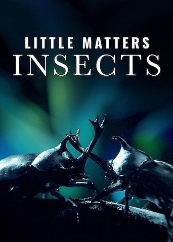 Poster of Little Matters: Insects