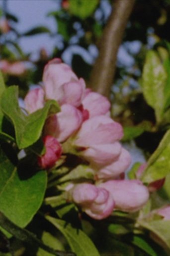 Poster of Autumn Rush for Kurt Kren and Winter and Spring and Summer