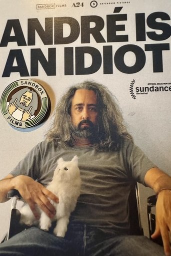 Poster of André Is an Idiot