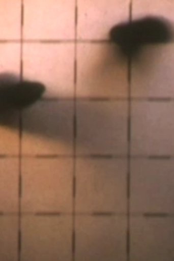 Poster of 2nd Floor Film