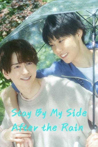 Poster of Stay By My Side After the Rain