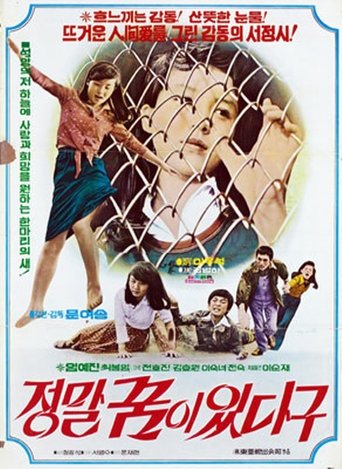 I Really Have a Dream Poster of I Really Have a Dream