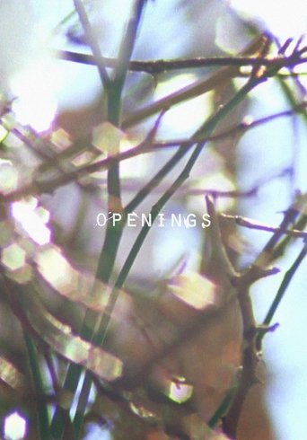 Openings Poster of Openings