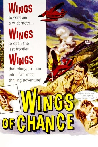 Poster of Wings of Chance