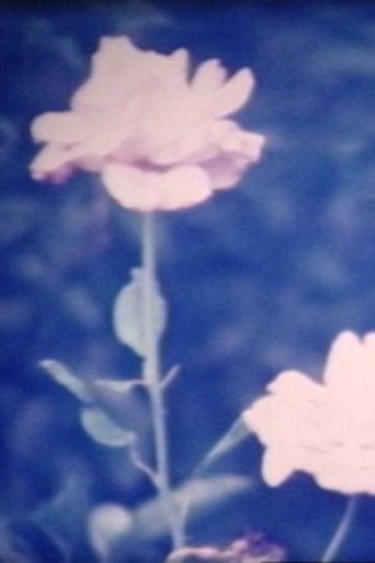 Poster of When the flower blooms