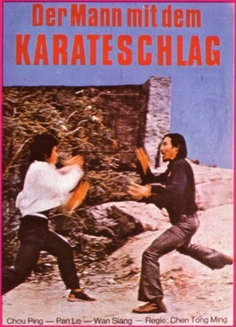 Poster of Killer in the Dark