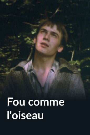 Poster of Fou comme l'oiseau