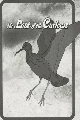 Poster of The Last of the Curlews