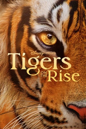Poster of Tigers on the Rise