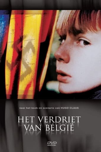 Poster of Het verdriet van België