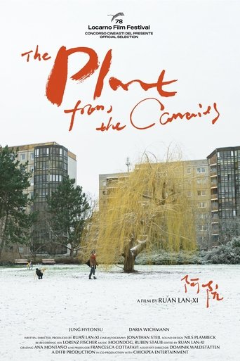 The Plant from the Canaries Poster of The Plant from the Canaries