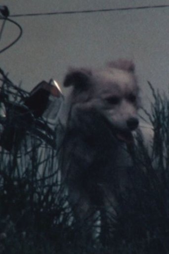 白い犬 Poster of 白い犬