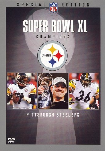 Portrait for Pittsburgh Steelers - 2005