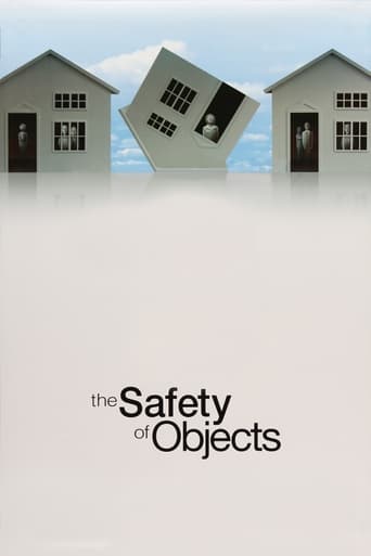 Poster of The Safety of Objects