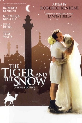 Poster of The Tiger and the Snow