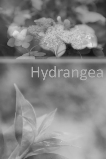 Poster of Hydrangea