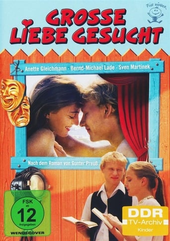 Poster of Große Liebe gesucht