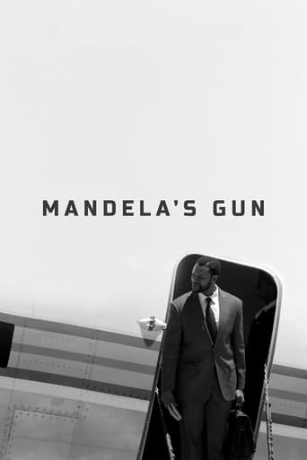 Poster of Mandela's Gun