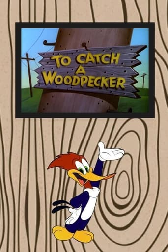 Poster of To Catch a Woodpecker