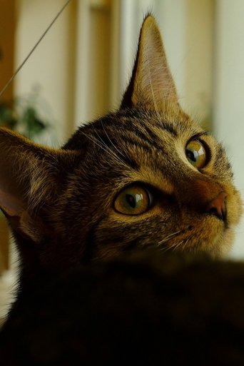 Poster of Neko