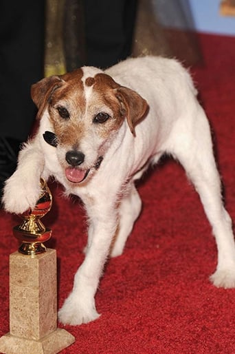 Portrait of Uggie