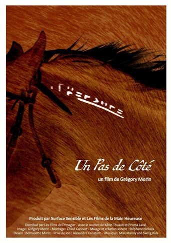 Poster of Un Pas De Côté