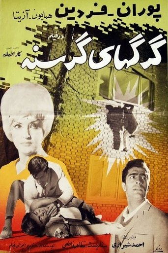 Poster of Hungry Wolves