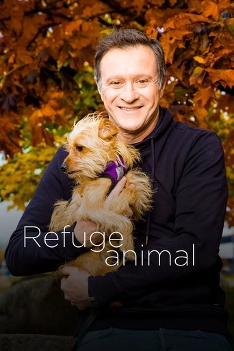 Animal Shelter Poster of Animal Shelter