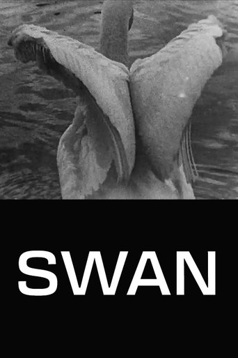 Swan Poster of Swan