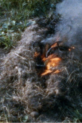 Poster of Untitled: 'Silueta' Sequence No. 3