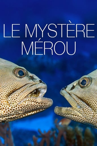 Poster of The Grouper Mystery