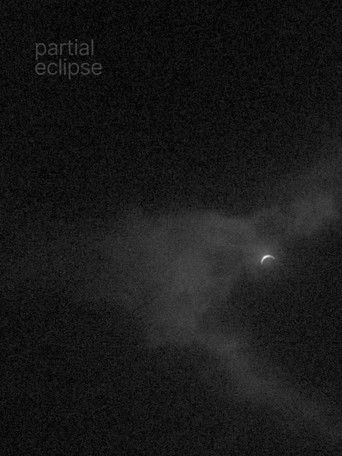 Poster of Partial Eclipse
