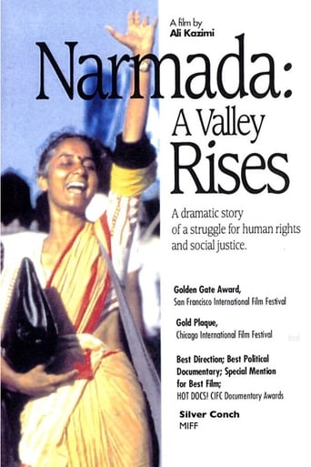 Poster of Narmada: A Valley Rises