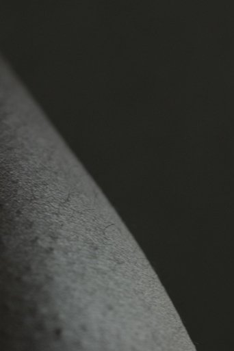 Poster of Liberated Zones