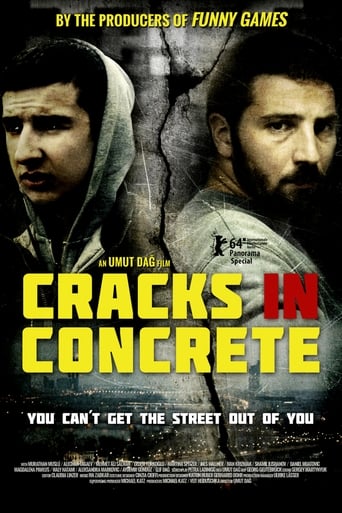 Poster of Cracks in Concrete
