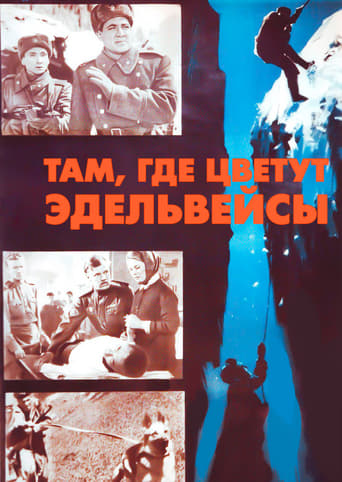 Poster of Там, где цветут эдельвейсы