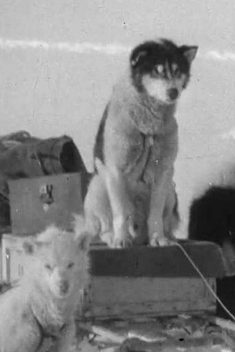 Poster of Greenland Rymill 1933