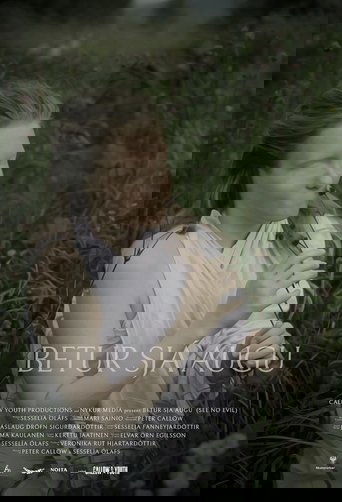 Poster of See No Evil