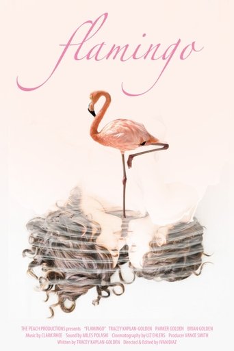 Poster of Flamingo