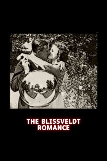 Poster of The Blissveldt Romance