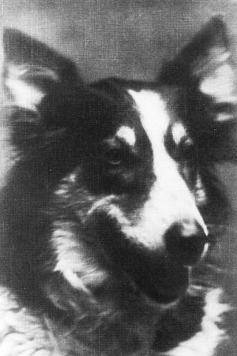 Portrait of Jean the Dog