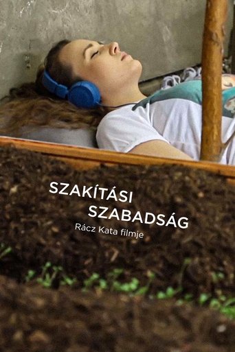 Poster of Szakítási szabadság