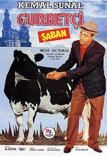 Poster of Expat Şaban