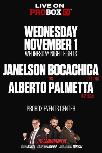 Poster of Janelson Bocachica vs. Alberto Palmetta