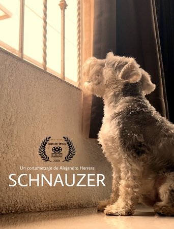 Schnauzer Poster of Schnauzer
