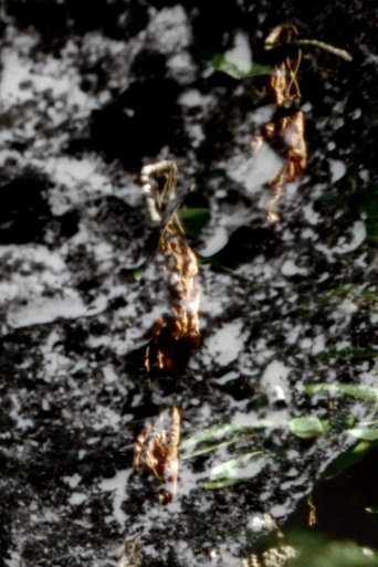 Poster of La Colle Falls