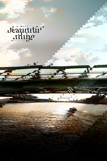 Poster of A Most Beautiful Thing